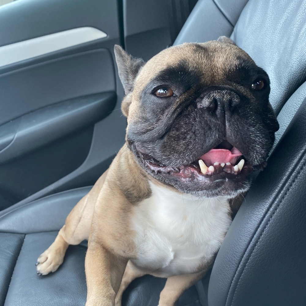 Meet your Posher, Ava